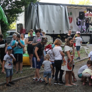 Grupa dzieci podczas zorganizowanej przez animatorkę zabawy na tle sceny podczas pikniku.