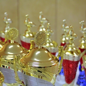 Kilka pucharów stojących na stole naszykowanych dla laureatów Związku Hodowców Gołębi Pocztowych.